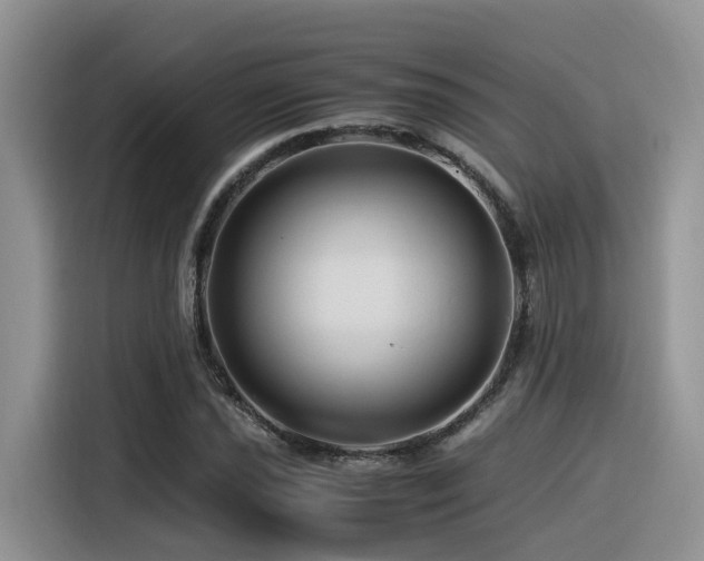 X0000116371021200912021149