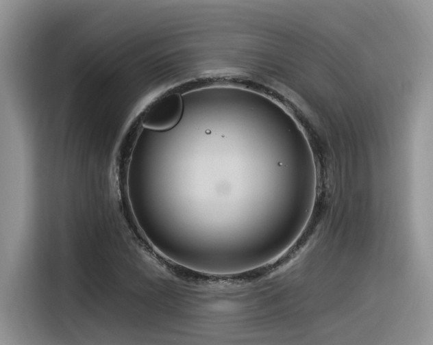 X0000116371022200912021149