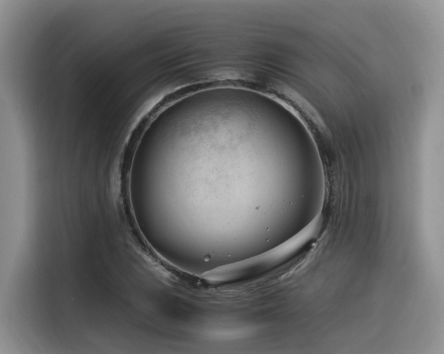 X0000116371023200912021149