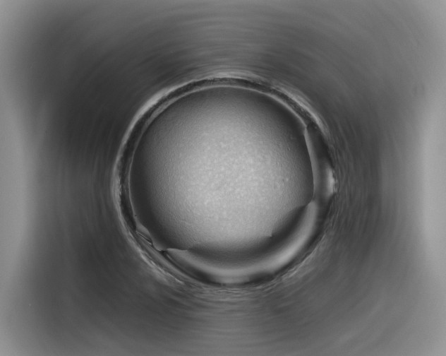 X0000116371024200912021149