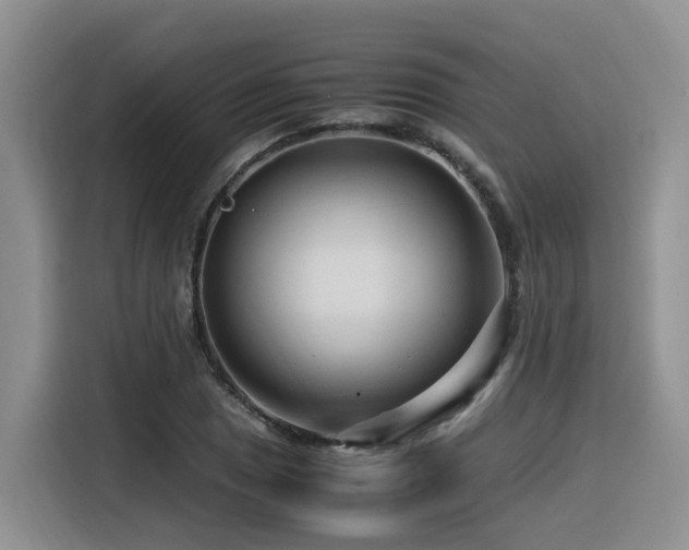 X0000116371025200912021149