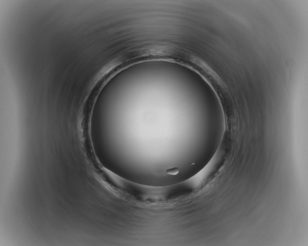 X0000116371026200912021149