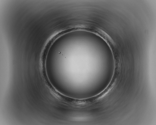 X0000116371027200912021149