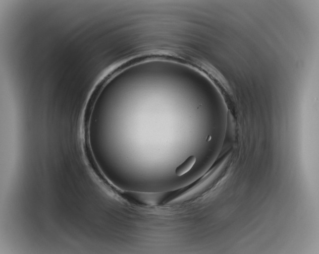 X0000116371028200912021149