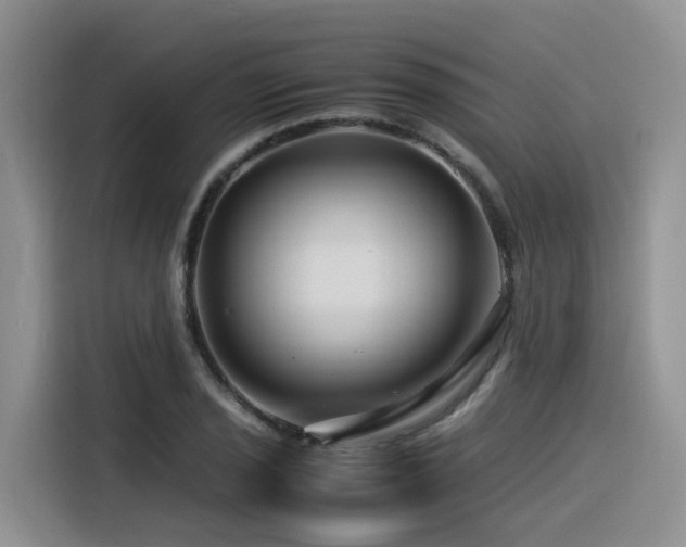 X0000116371029200912021149