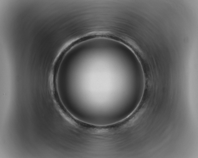 X0000116371030200912021149
