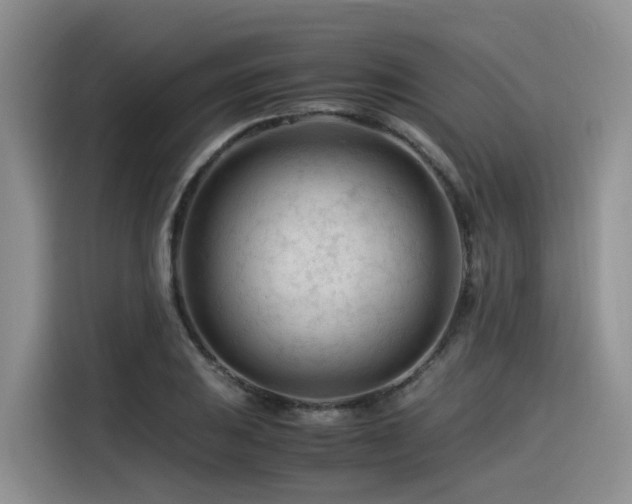 X0000116371031200912021149