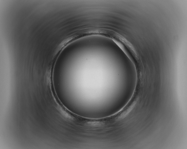 X0000116371033200912021149