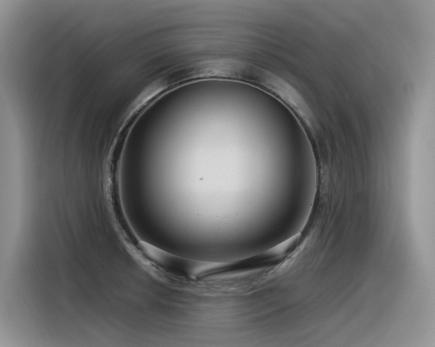 X0000116371042200912021149
