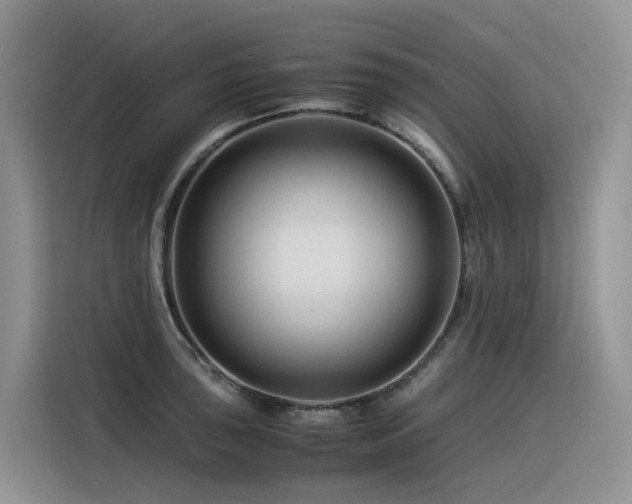 X0000116371043200912021149