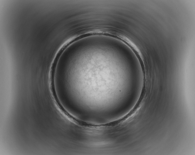 X0000116371045200912021149
