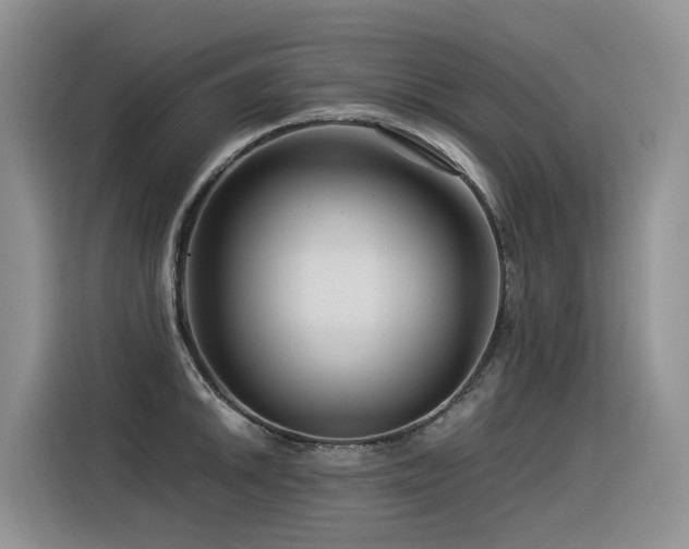 X0000116371046200912021149