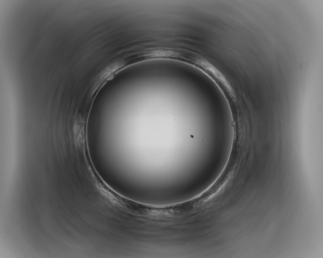X0000116371049200912021149