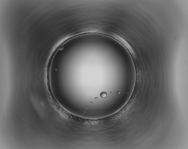 X0000116371051200912021149
