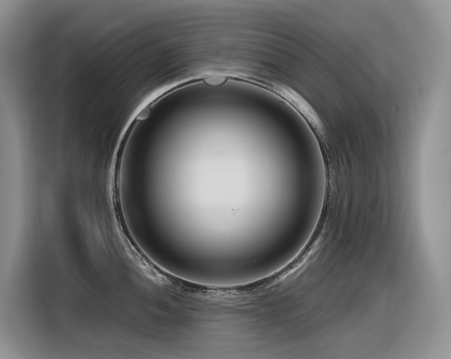 X0000116371052200912021149