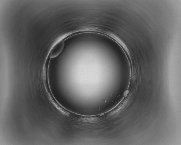 X0000116371053200912021149
