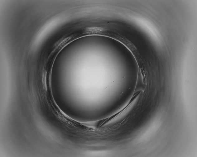 X0000116371054200912021149