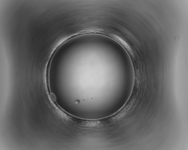 X0000116371055200912021149