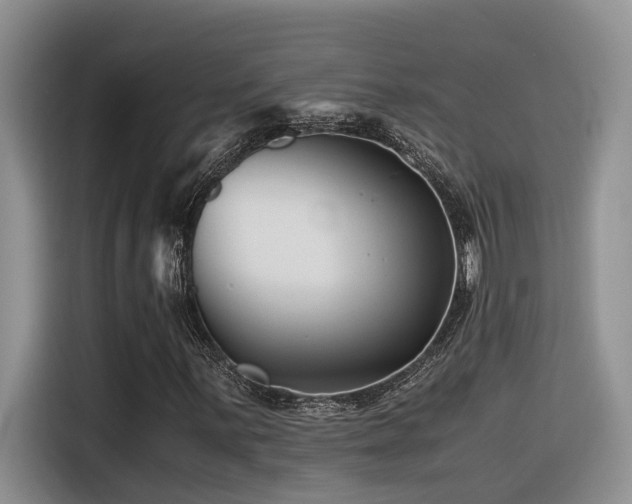 X0000116371059200912021149