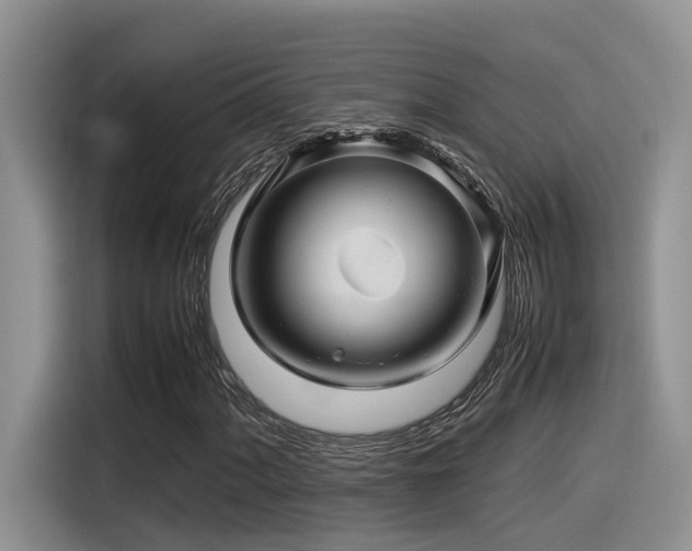 X0000116371060200912021149