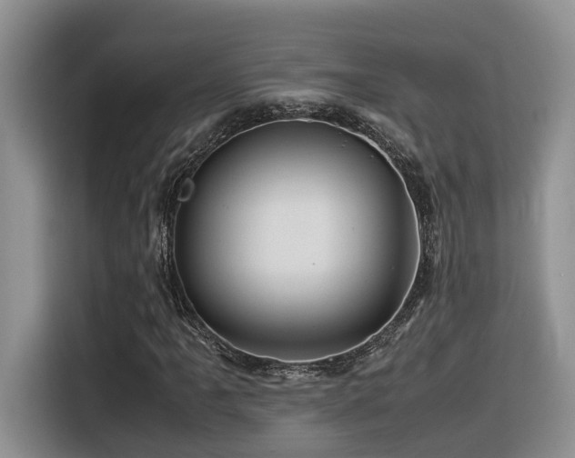 X0000116371061200912021149
