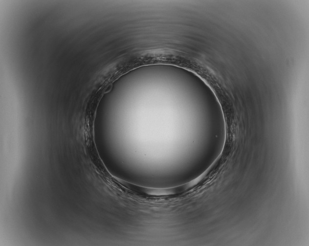 X0000116371062200912021149