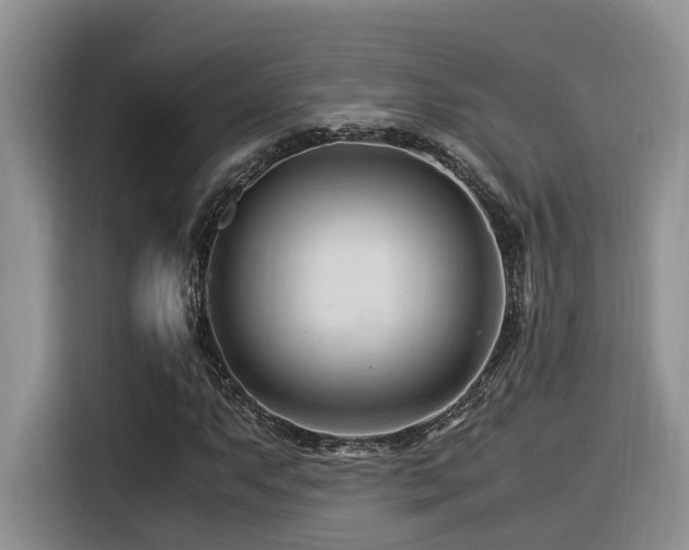 X0000116371063200912021149