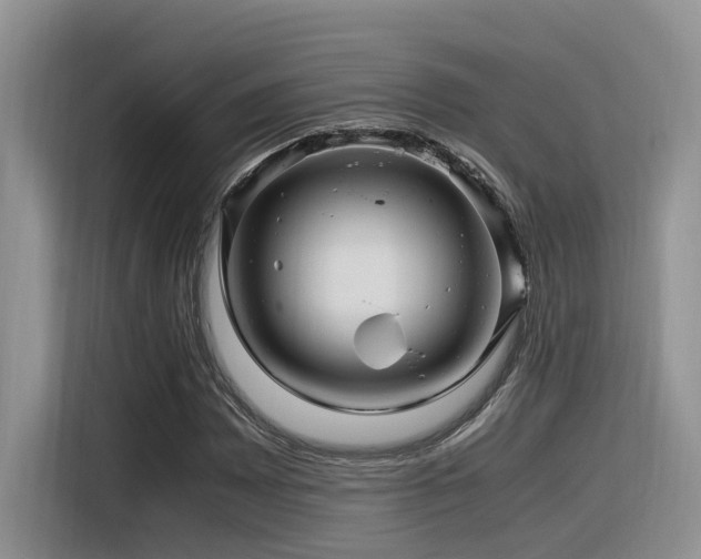X0000116371065200912021149
