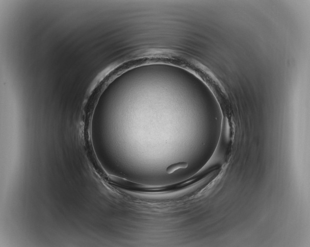 X0000116371066200912021149