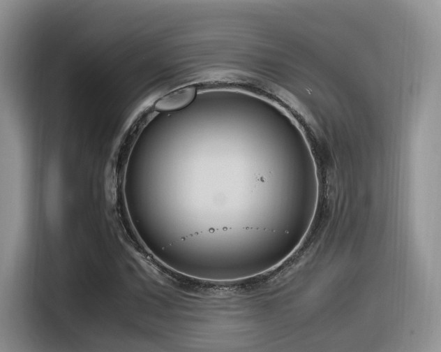 X0000116371067200912021149