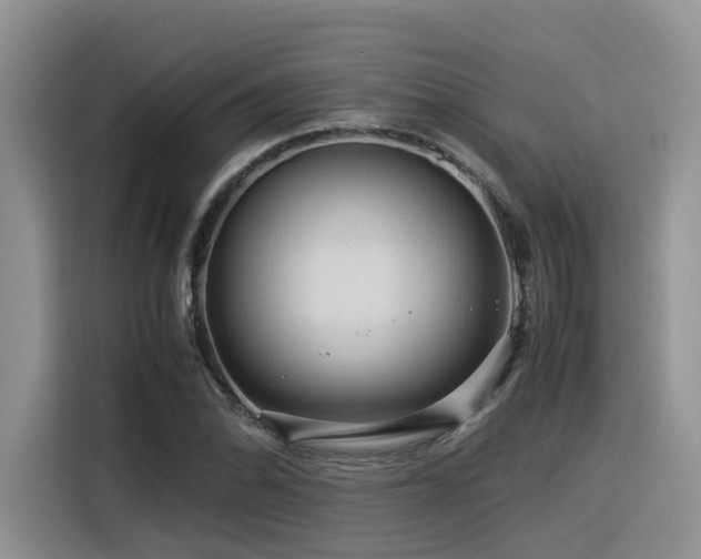 X0000116371070200912021149