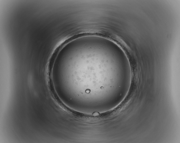 X0000116371071200912021149