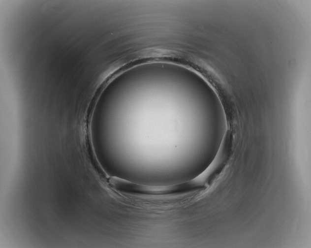 X0000116371073200912021149