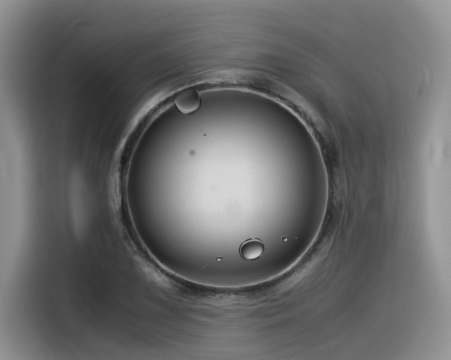 X0000116371075200912021149