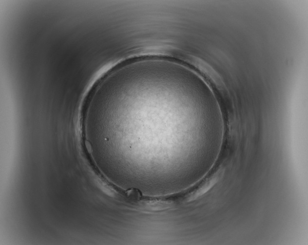 X0000116371077200912021149