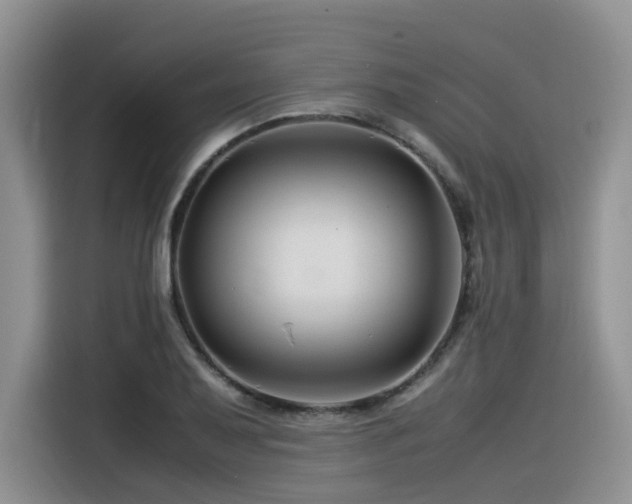 X0000116371079200912021149