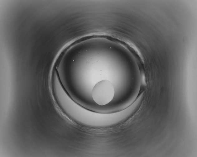 X0000116371080200912021149
