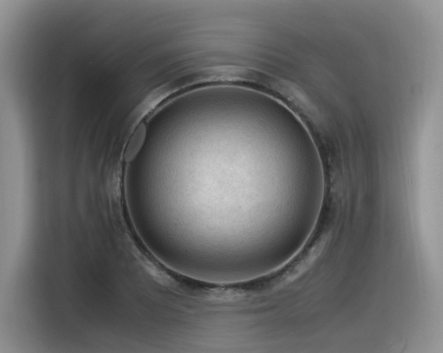 X0000116371081200912021149