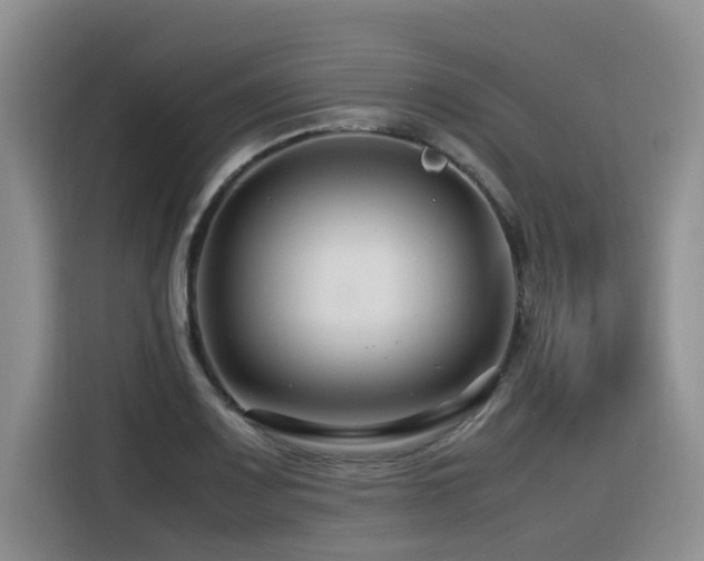 X0000116371083200912021149