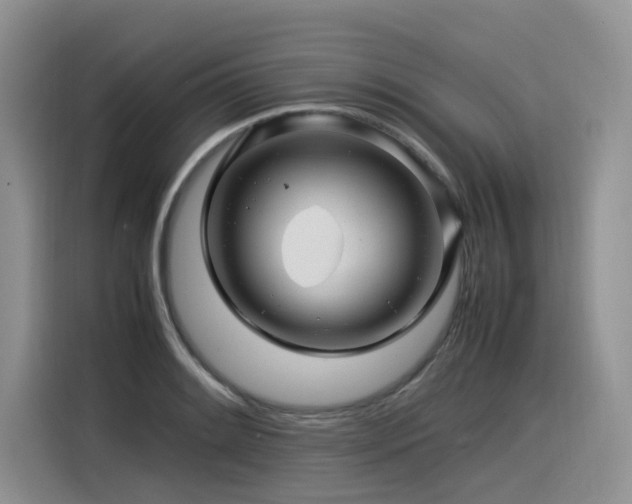 X0000116371084200912021148