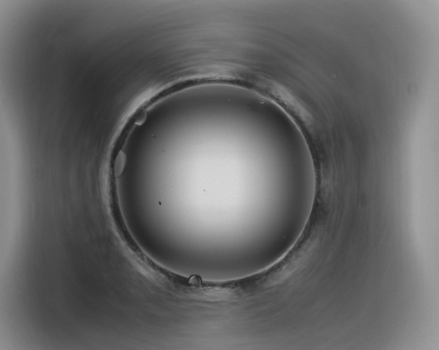 X0000116371085200912021148