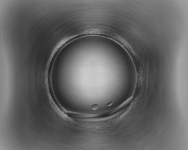 X0000116371086200912021148