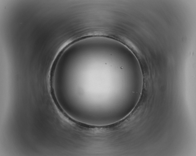 X0000116371087200912021148