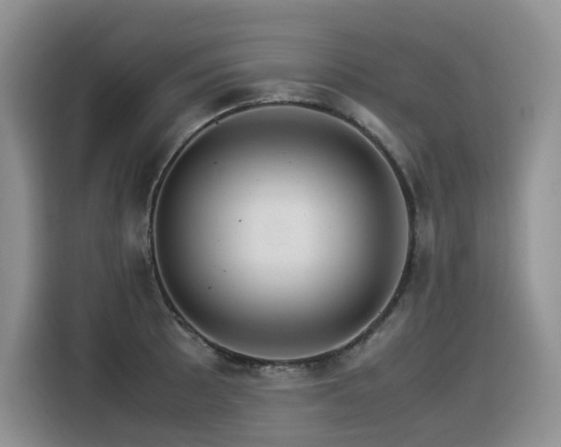 X0000116371089200912021148