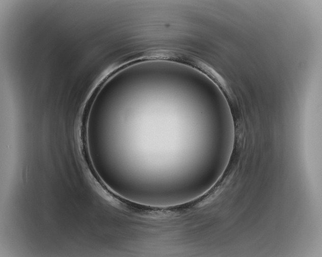 X0000116371091200912021148