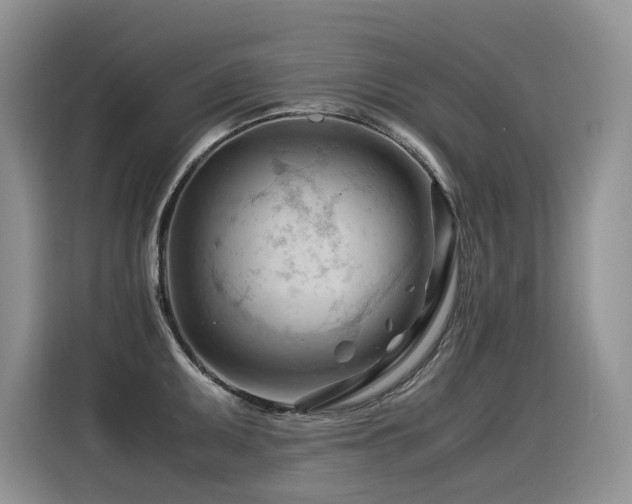 X0000116371095200912021148