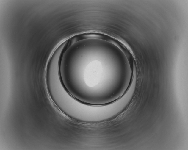 X0000116371096200912021148
