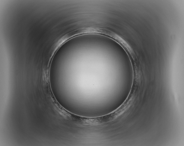 X0000116371097200912021148