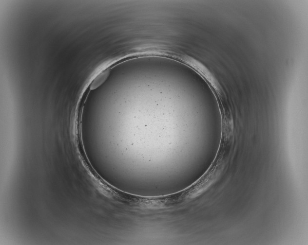X0000116371101200912021148