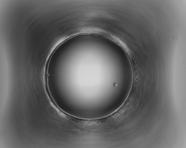 X0000116371103200912021148